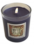 MERLIN MAGICAL CANDLE